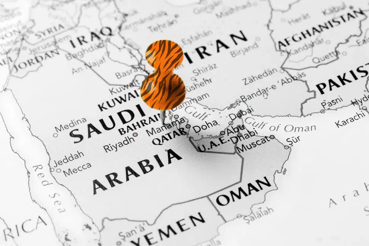Navigating the Future: Saudi Arabia’s Innovative Approach to Global Talent with Premium Residency Program